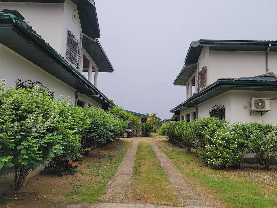 Media 1