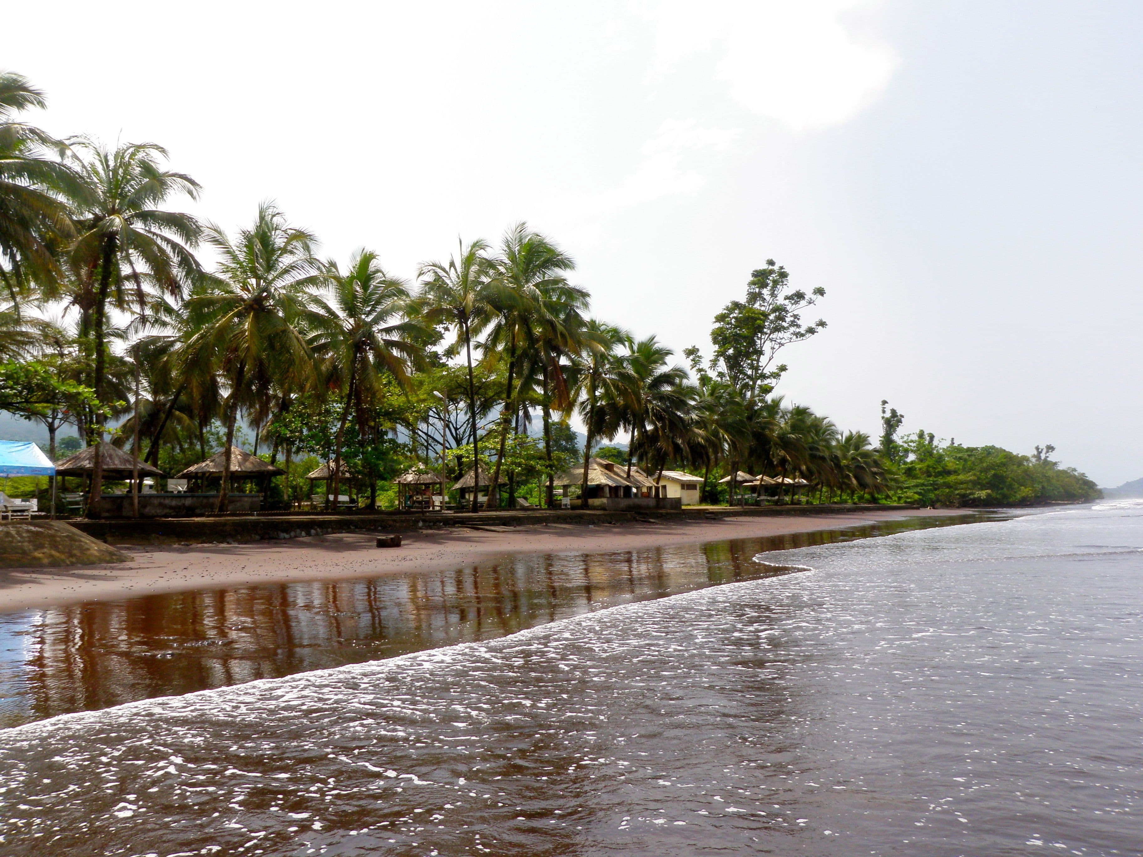 Limbe